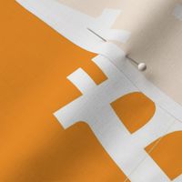 Bitcoin Symbol Cryptocurrency | Orange