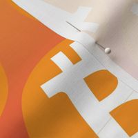 Bitcoin Symbol Cryptocurrency | Orange Ombre