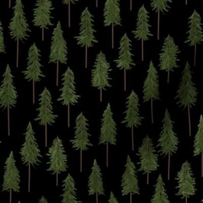 Tall Pine Trees Trees, Black