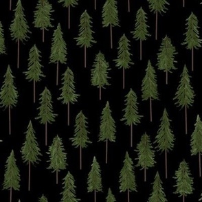 Tall Pine Trees Trees, Black