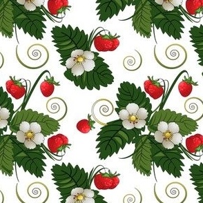  Strawberry bush with berries, flowers and leaves on a white background