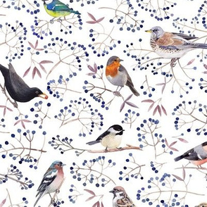 Winter Birds Pattern
