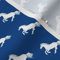 Blue and White Pony