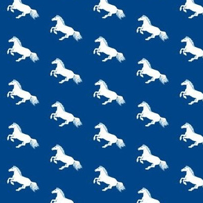 Blue and White Pony