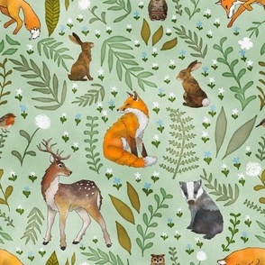 Kids Woodland Animals in the Forest Wallpaper Mural  Wallmur