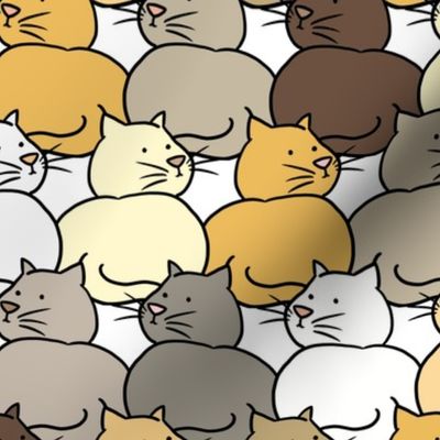 A Crowd of Cats