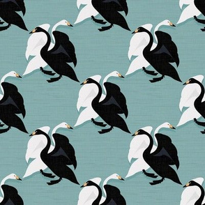 Black Swan White Swan - Vintage Turquoise / Medium