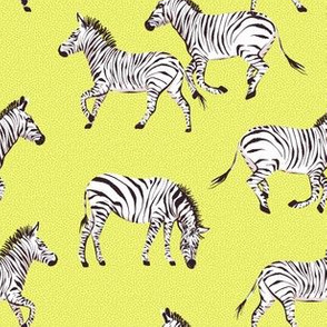 Zebras pattern yellow