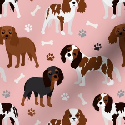 Cavalier King Charles Spaniel Dogs Pink