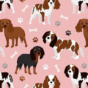 Cavalier King Charles Spaniel Dogs Pink