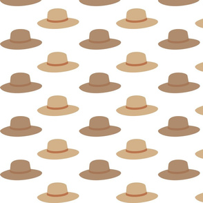 brown hat 2