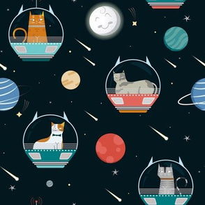 Cats in Space