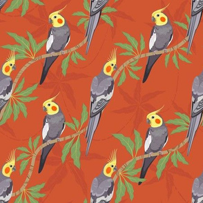 Cockatiel birds diagonal pattern