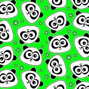 Cute Panda - on green