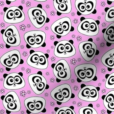 Cute Panda - on baby pink