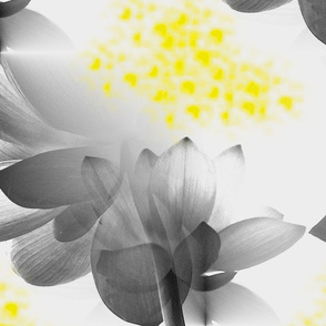 Japanese Gray & Yellow Lotus