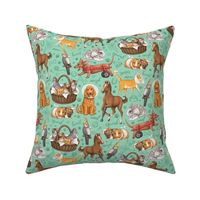 Pets on the Mend - Veterinary Fabric - Turquoise