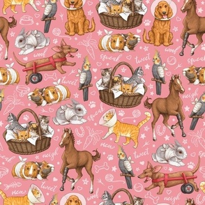 Pets on the Mend - Veterinary Fabric - Strawberry Pink