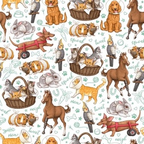 Pets on the Mend - Veterinary Fabric - White