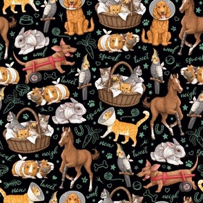 Pets on the Mend - Veterinary Fabric - Black