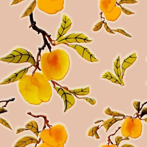  Peaches on a beige background