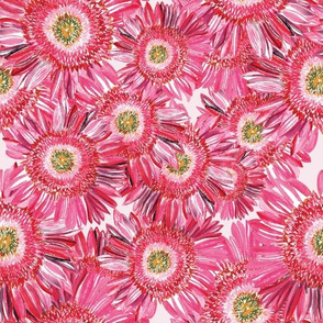 Daisies in splashes of pink