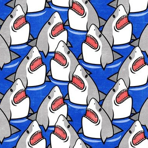 shark attack! - great white sharks - blue - LAD21