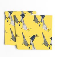 Cockatiels - Yellow