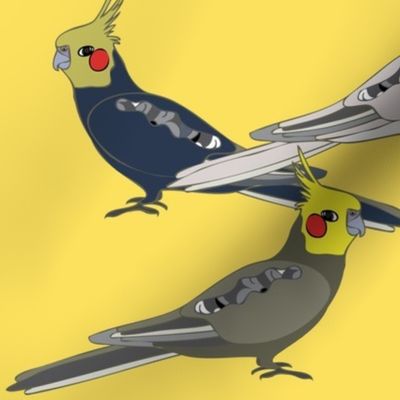 Cockatiels - Yellow