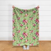 XL Watercolor Peonies & Roses (apple green) Floral Pink Plum Blush Flowers Garden Blooms, LARGEST scale