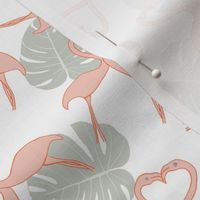 Flamingos_On_White
