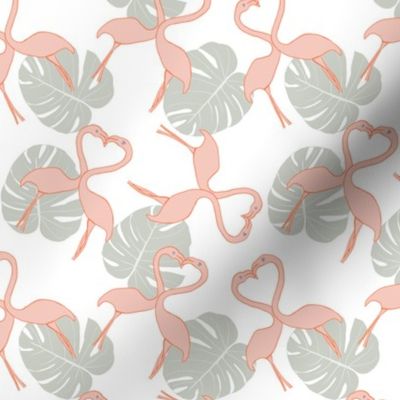 Flamingos_On_White