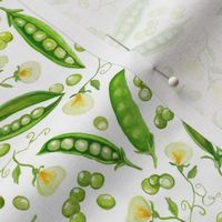 Sugar Peas on White painting small scale