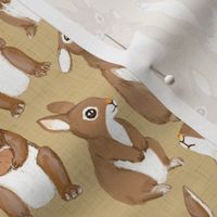 Bunnies ONLY beige