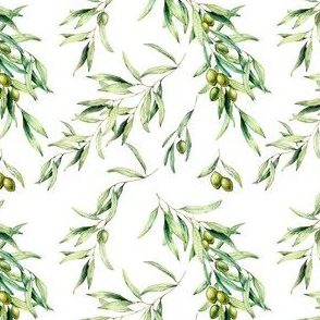 Green olives foliage pattern watercolor. Green olive with leaves and branches. Italy Greece botanical floral ornament