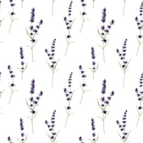 Lavender flowers minimal pattern watercolor