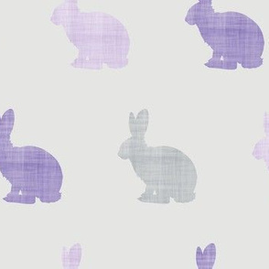 lilac bunny grey 