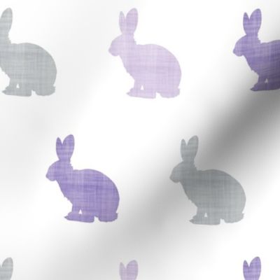 lilac bunny