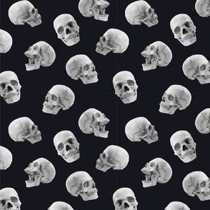 Grey Scale Skulls