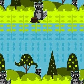 Shy Racoons