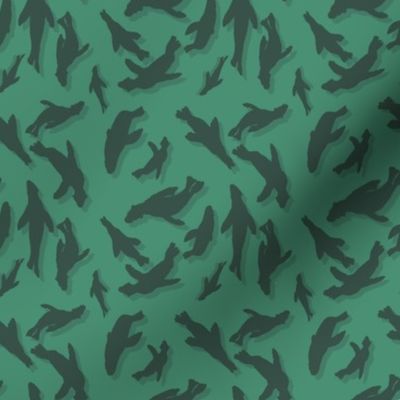 Cape Fur Seal Pattern green