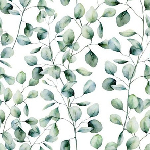 Eucalyptus silver dollar leaves and branches. Floral greenery fabric