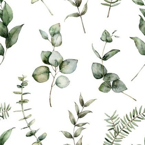 Greenery pattern with eucalyptus leaves, pine branches. Silver dollar, baby blue eucalyptus