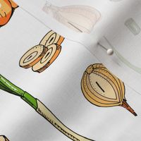 Hand-drawn illustration for kichen.Sketch onion