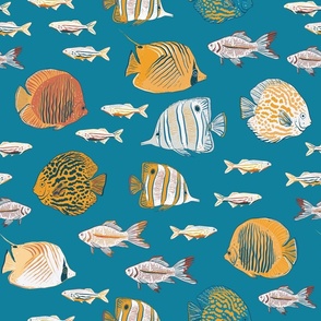 Aquarium/ ocean exotic fishes