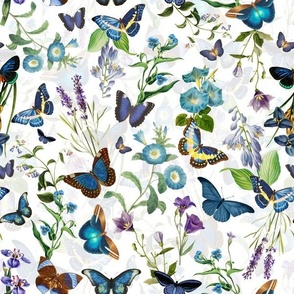 12"   Butterflies In Blue Flower Garden- White Double
