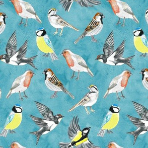 Illustrated Birds on Sky Blue - Small