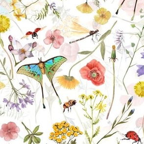 Watercolor hand drawn Late Summer WildFlowers Garden Flowers And Butterflies 2- White Double Layer