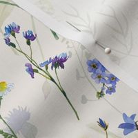 Simply Watercolor Wildflowers Grasses  And Cornflowers Meadow on blush