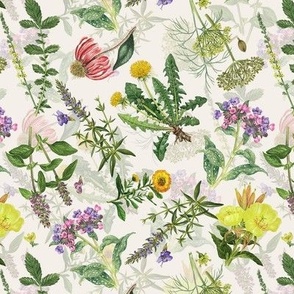 Antique wildflowers and herbs garden meadow ,double layer on blush